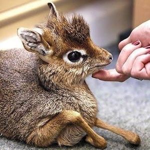 Meet your Posher, Katy